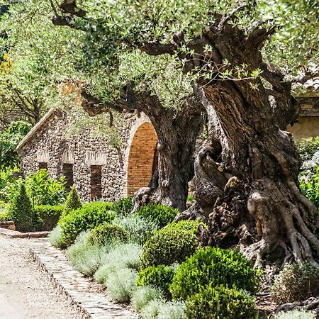 Domaine Les Mesanges Hotel Gassin Eksteriør billede
