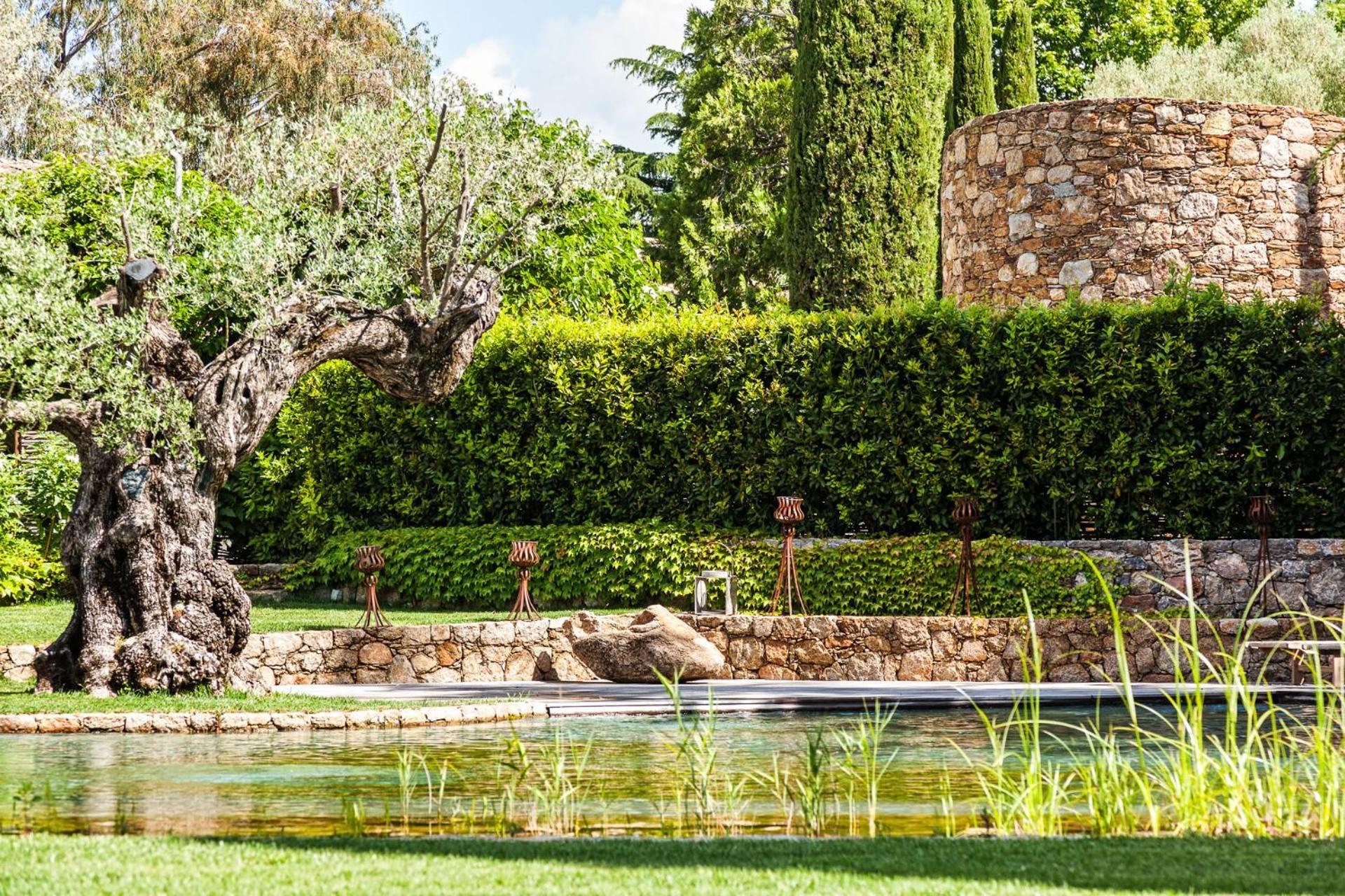 Domaine Les Mesanges Hotel Gassin Eksteriør billede