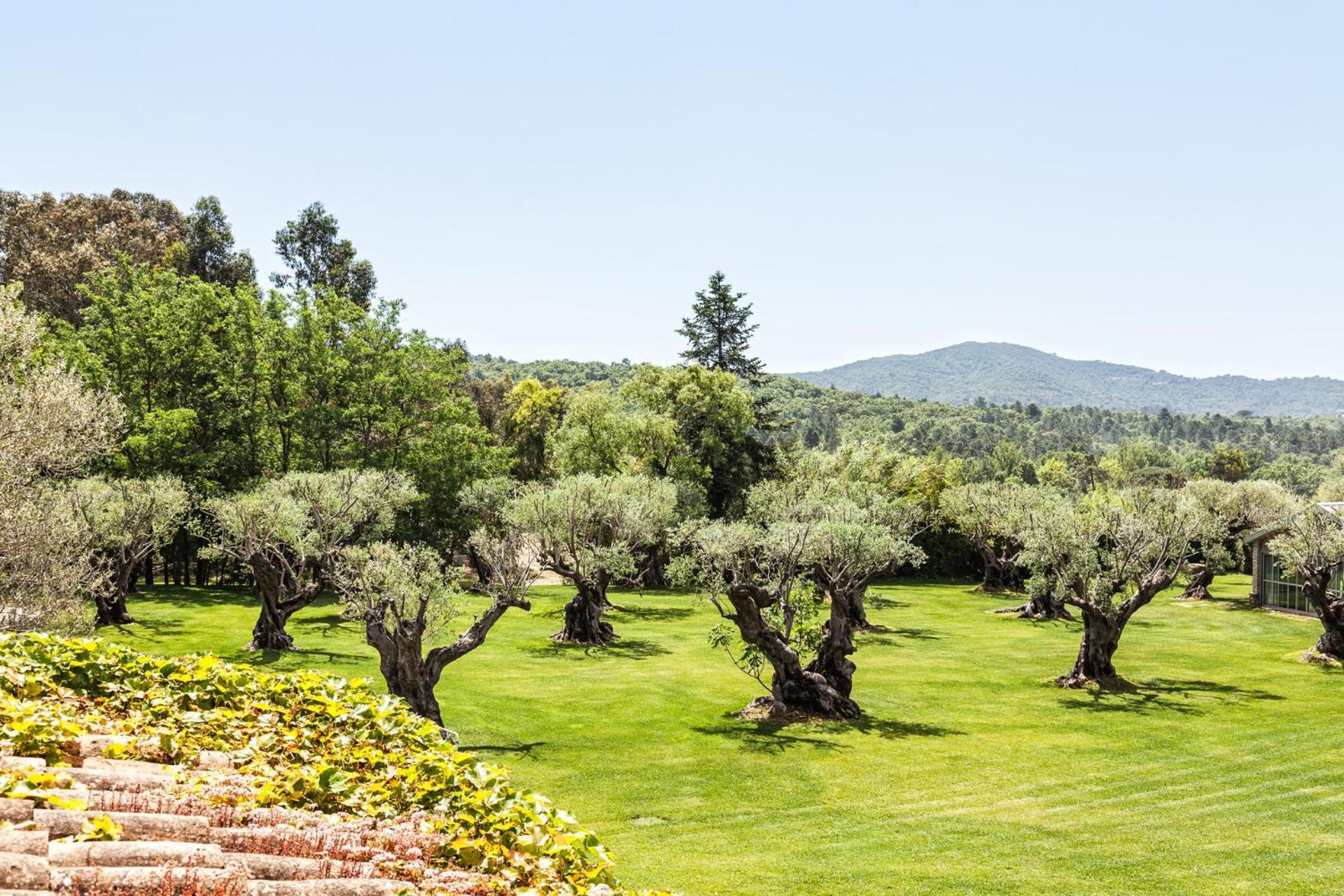 Domaine Les Mesanges Hotel Gassin Eksteriør billede