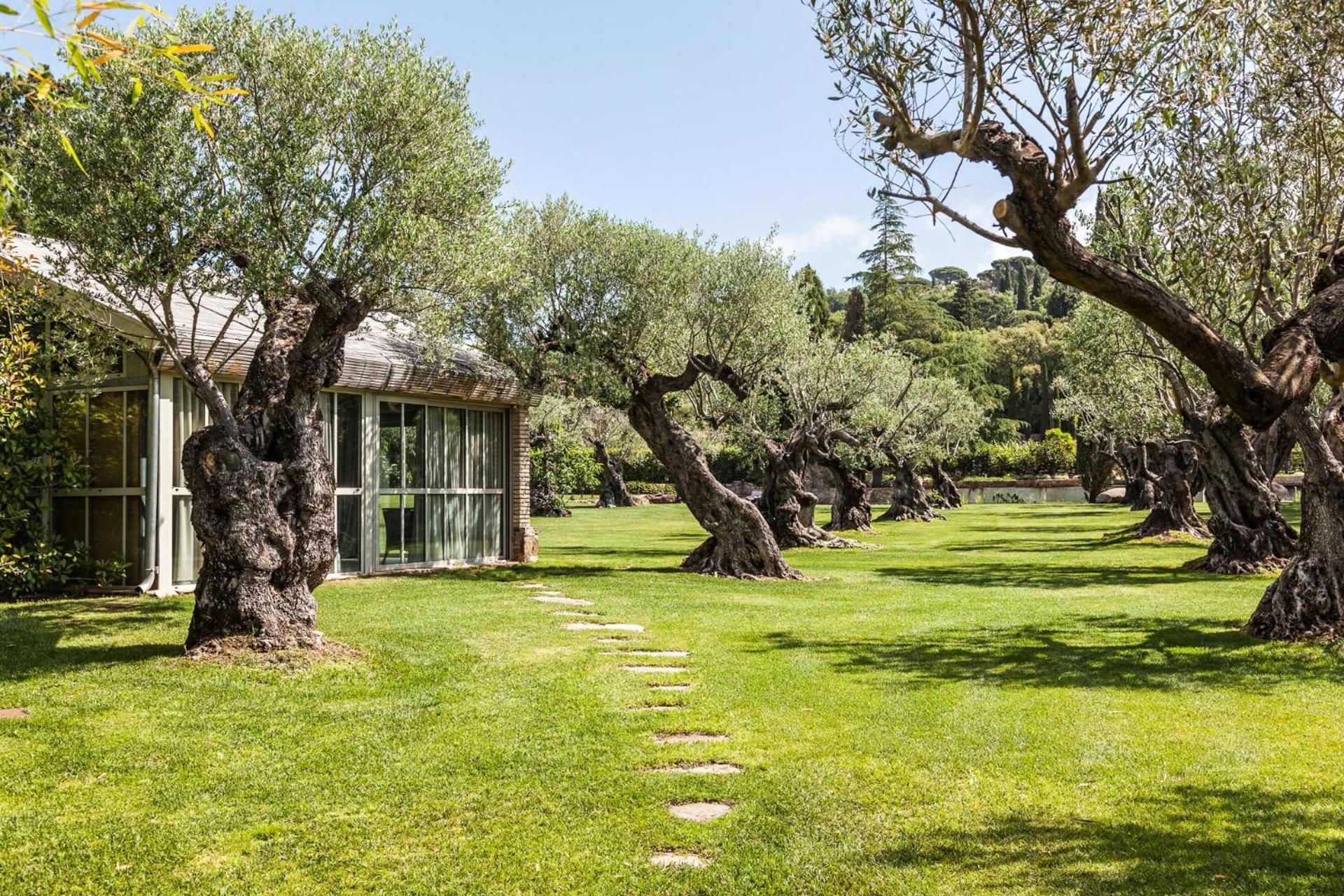 Domaine Les Mesanges Hotel Gassin Eksteriør billede