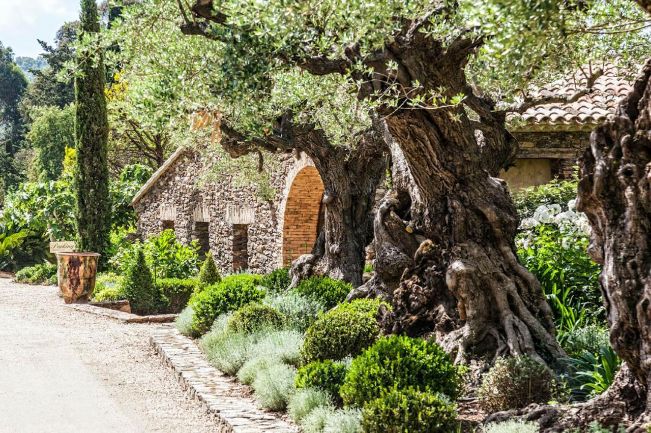 Domaine Les Mesanges Hotel Gassin Eksteriør billede